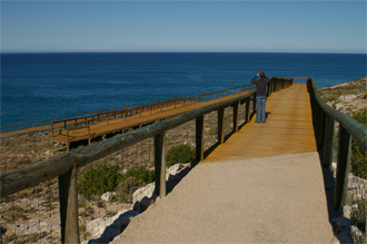Whale watching in the Great Australian Bight